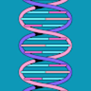 Meet your Posher, Payton